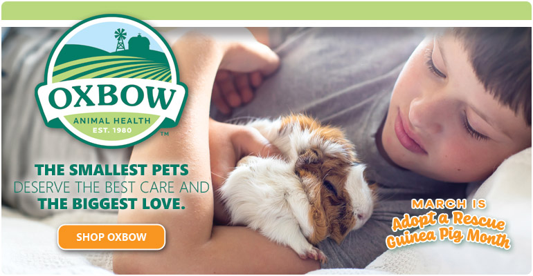 Pet Supplies, Pet Food, Treats and Toys - Care-A-Lot Pet Supply