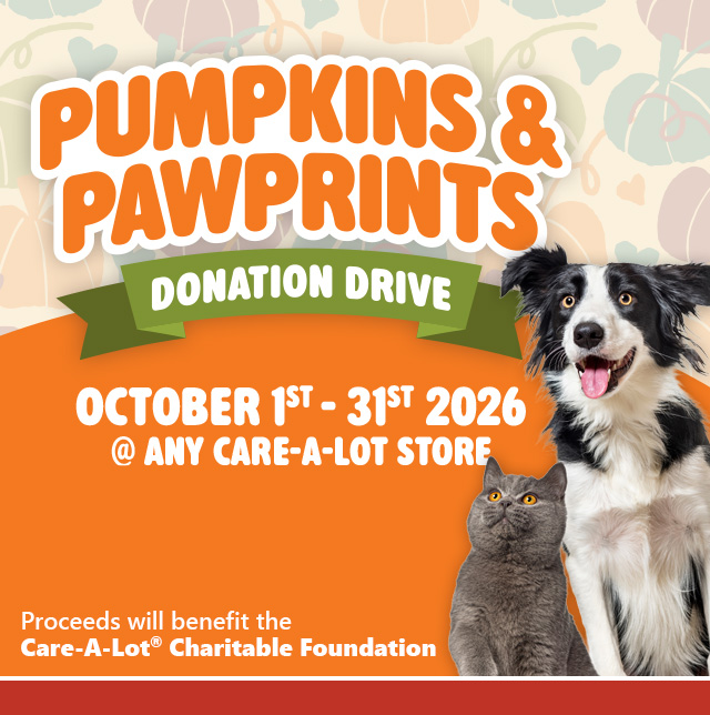 Pumpkins & Pawprints
