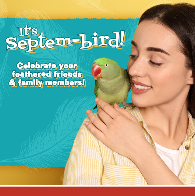SeptemBIRD