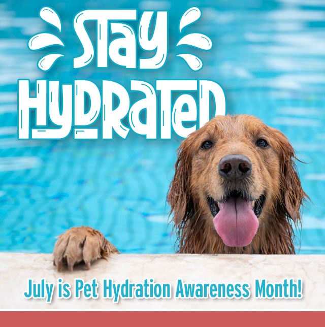 Stay Hydrated!