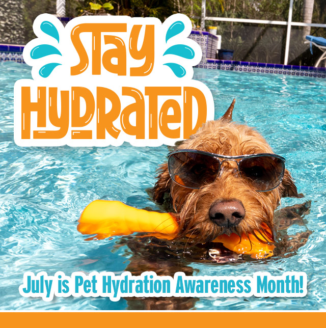 Stay Hydrated!
