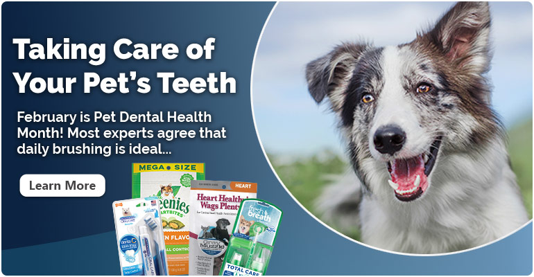 shepherds pet supply