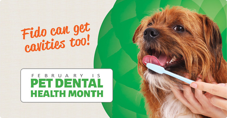 Pet Supplies Food Treats And Toys Care A Lot Pet Supply