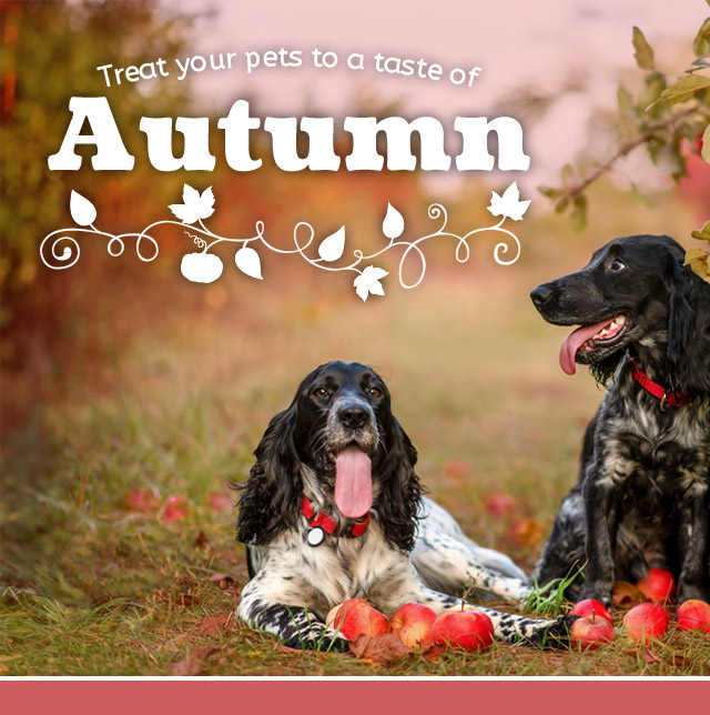 Taste of Autumn