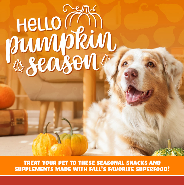 Pumpkin Season!