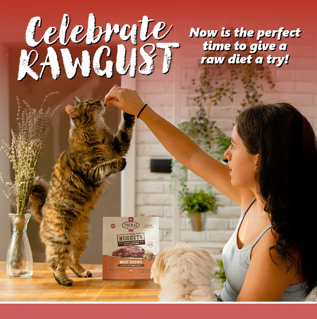 RAWgust