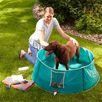 MyPet 48in Large Teal Pet Pool