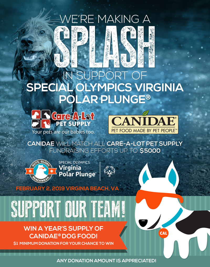 Special Olympics Virginia Polar Plunge 2019