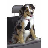 Easy Rider Car Harness 1328B