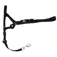 Coastal Walk&#39;n Train! Dog Head Halter Black 175011b