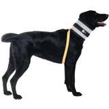 Bite Not Collars 239e