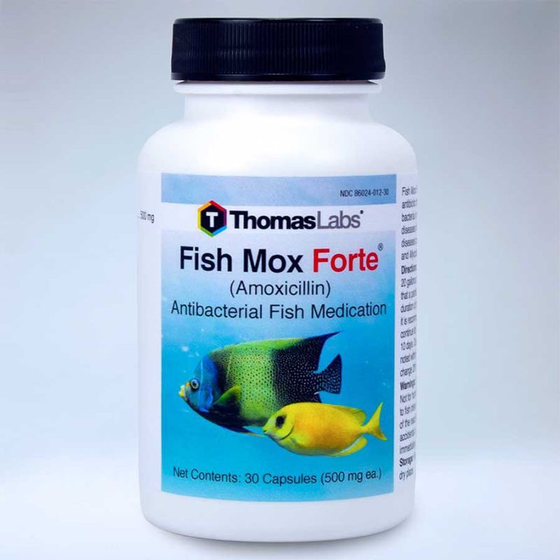 ThomasLabs Fish Mox Amoxicillin 250 mg CareALot Pet Supply
