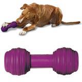 Busy Buddy&#174; Chuckle™ 35619