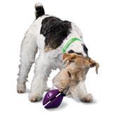 Premier Pet Products Busy Buddy &#174; TwistN Treat ™ 36418b