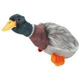 Multipet Migrator™ Plush Mallard Dog Toy 45414