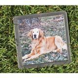 Photo Pet Memory Stone 46714