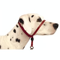 Premier Gentle Leader Headcollar  47641b