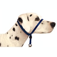 Premier Gentle Leader Headcollar Royal Blue  47642b