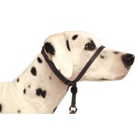 Premier Gentle Leader Headcollar Black  47643b