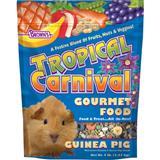 FM Brown&#39;s Tropical Carnival Food For Guinea Pigs