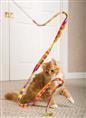 Cat Charmer Wand 7151
