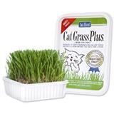 Cat Grass Plus 7246