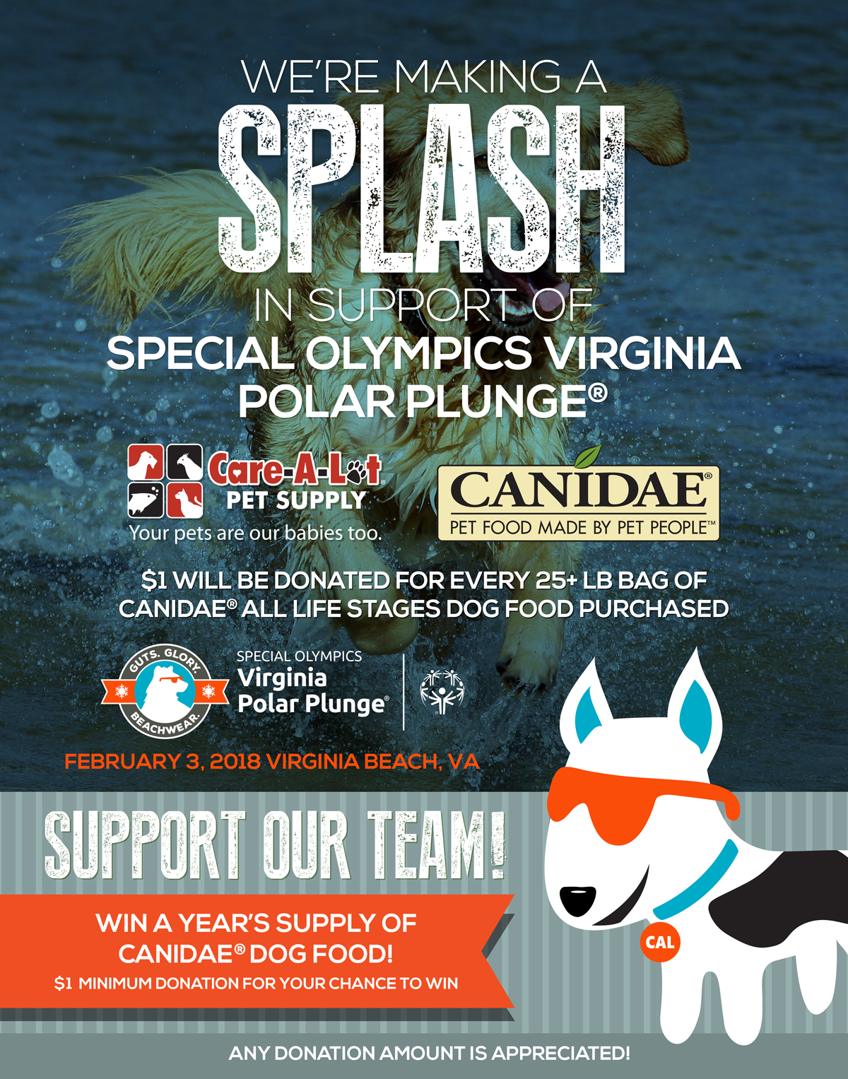 Special Olympics Virginia Polar Plunge 2018