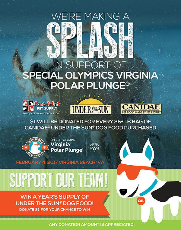 Polar Plunge 2017