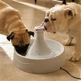 Drinkwell&#174; 360 Pet Fountain 40623b