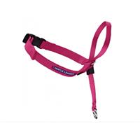 Premier Gentle Leader Headcollar Raspberry  47645
