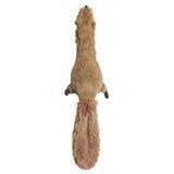 Spot&#174; Skinneeez™ Plus Dog Toy Squirrel I000715