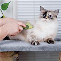 Safari&#174; Shed Magic&#174; De-Shedding Tool for Cats I002639