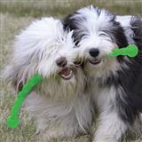 Kong&#174; Safestix Toy for Dogs I004170b