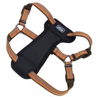 Coastal K9 Explorer Reflective Adjustable Padded Dog Harness Campfire Orange I006405e