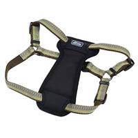 Coastal K9 Explorer Reflective Adjustable Padded Dog Harness Fern I006406e
