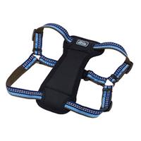 Coastal K9 Explorer Reflective Adjustable Padded Dog Harness Sapphire  I006407e