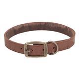 Coastal&#174; Circle T&#174; Rustic Leather Town Dog Collar Chocolate 1&quot; I006536b
