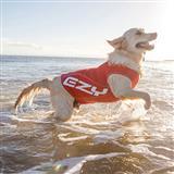 EzyDog&#174; Dog Rashie I007975b