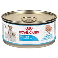 Royal Canin&#174; Starter Mousse 5.8 oz. 111978
