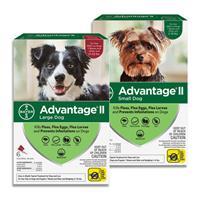 Advantage&#174; II Topical Flea Treatment For Dogs 11834b
