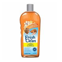 Fresh ’n Clean Scented Shampoo Classic Fresh Scent 18 oz. 16674