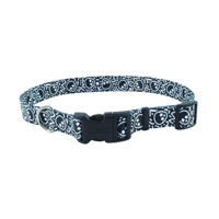 Coastal Adjustable Dog Collar with Buckle Black Skull &amp; Crossbones 5/8&quot; x 10&quot;-14&quot; 36203
