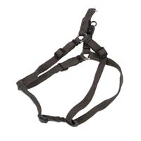 Coastal New Earth Soy Adjustable Forest Green Harness I001187