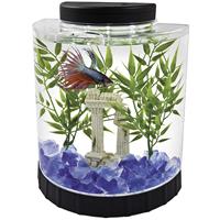 Tetra Betta Half Moon LED Kit 1.1 gal I001934