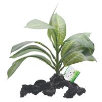 Fluval Stemped Anubias Plant 7&quot; I003739