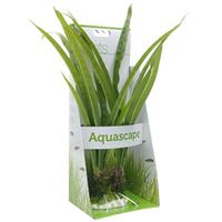 Fluval Bamboo Shoots Plant 14&quot; I003740