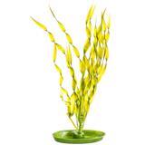 Marina AquaScaper Corskcrew Vallisneria  I003753
