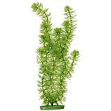 Marina AquaScaper Hornwort Plant I003756b
