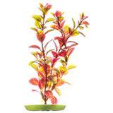 Marina AquaScaper Red Ludwigia Plant I003758b