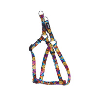 Coastal Li’l Pals Comfort Wrap Adjustable Dog Harness Wild Flower 5/16” x 8”-14” I006210